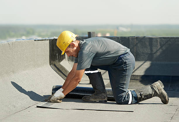 Best Specialty Insulation in Tuscoosa, AL