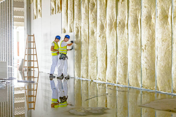 Best Residential Insulation in Tuscoosa, AL